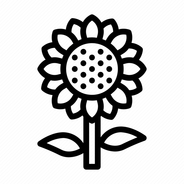 Подсолнечник иконка