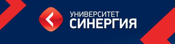 Университет СИНЕРГИЯ знак