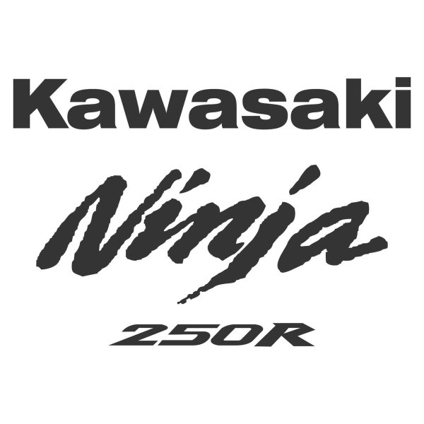 Kawasaki Ninja logo vector