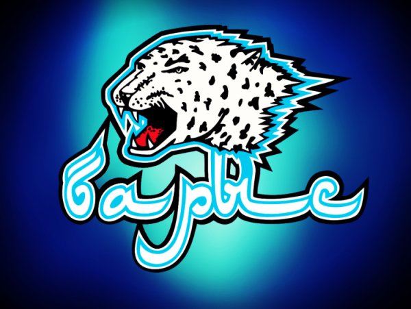 Эмблема хк Барыс