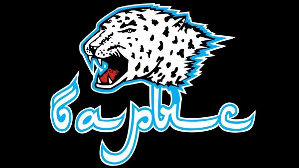 Барыс хоккейный клуб