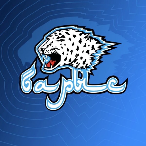 Барыс хоккейный клуб