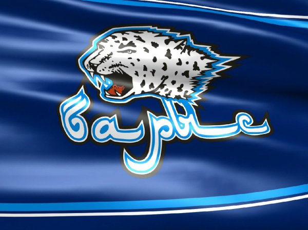 Снежные Барсы хоккейный клуб