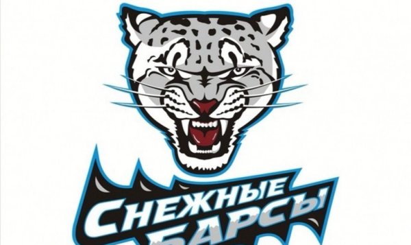 Логотип хоккейной команды Барыс
