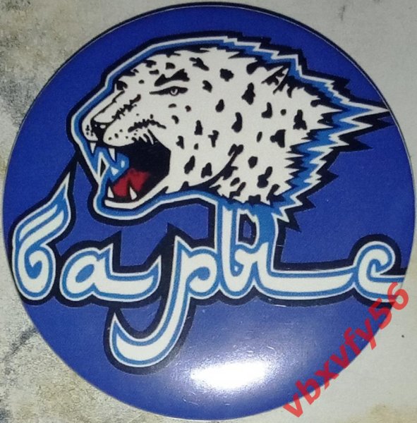 Снежный Барс логотип