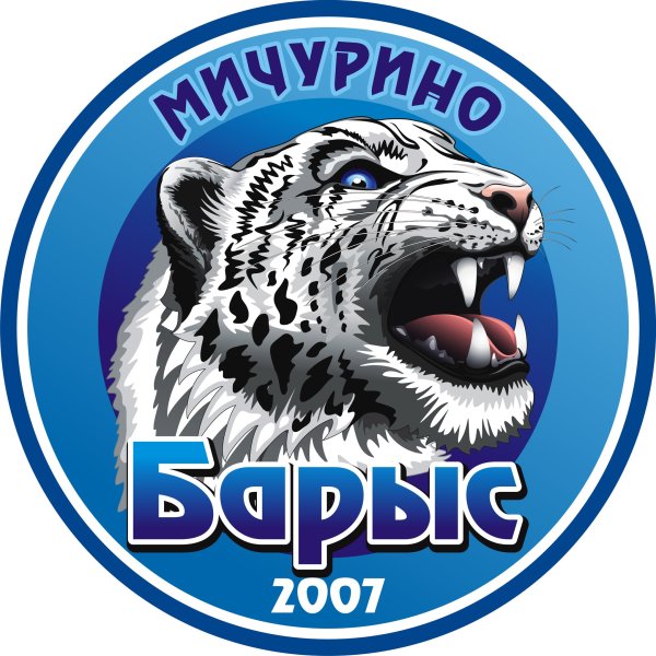 Новый логотип Барыса