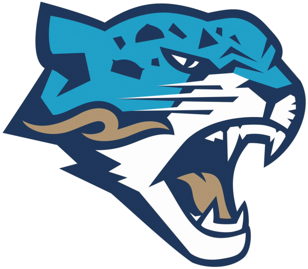 Барыс логотип