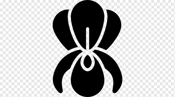 Орхидея вектор силуэт