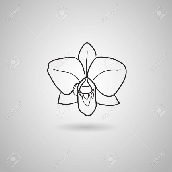 Орхидея логотип