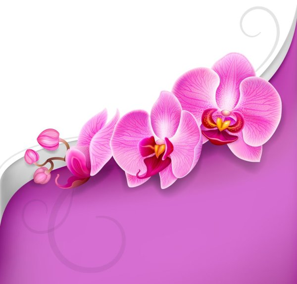 Логотип в виде орхидеи