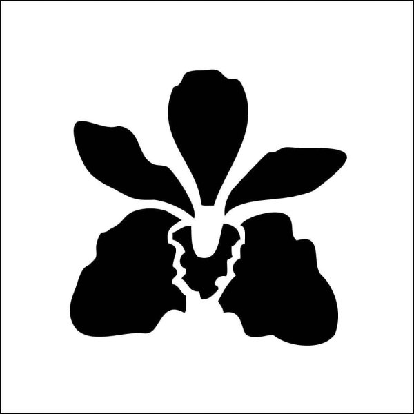 Стилизованная Орхидея