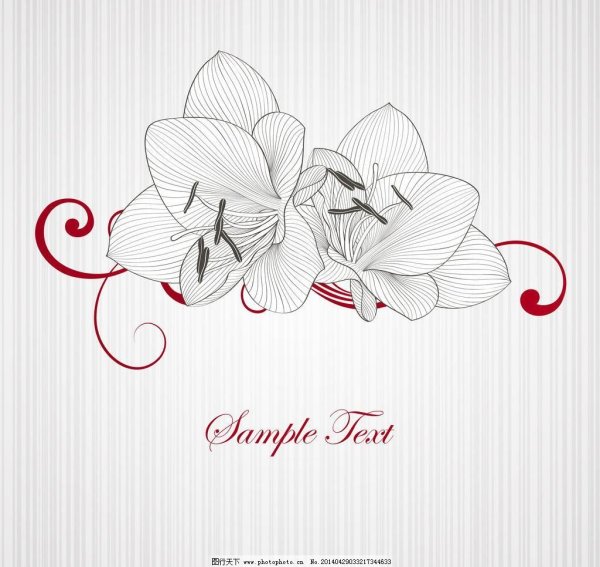 Эскиз орхидеи для логотипа