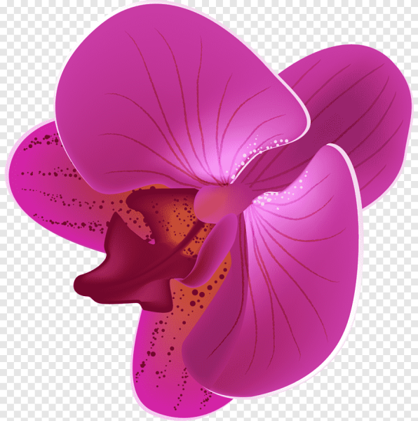 Стилизованная Орхидея