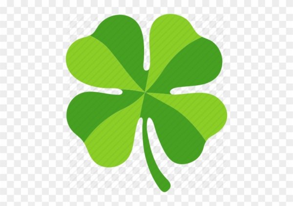 Черный Клевер четырехлистный