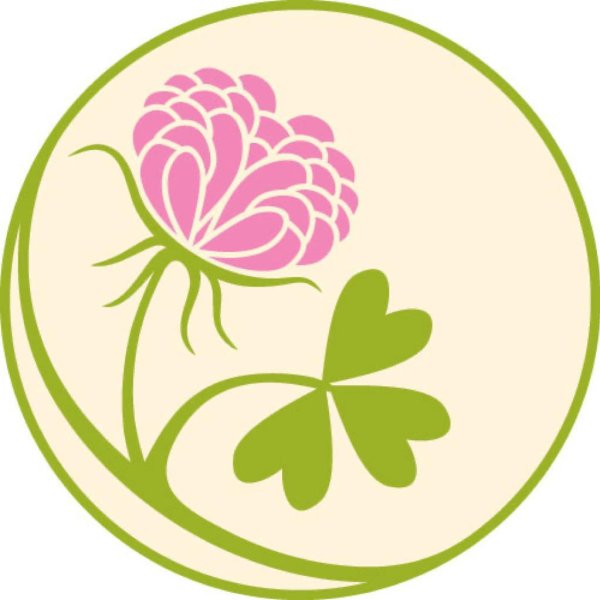 Клевер четырехлистник вектор