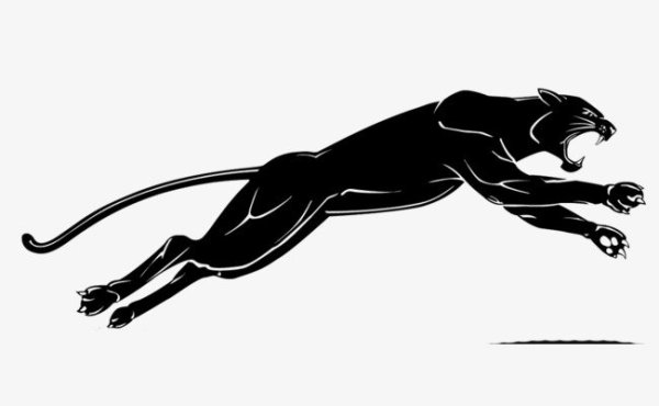 Пантера в прыжке рисунок