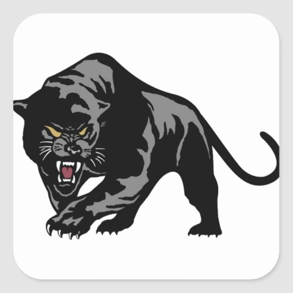 ОДОН пантера