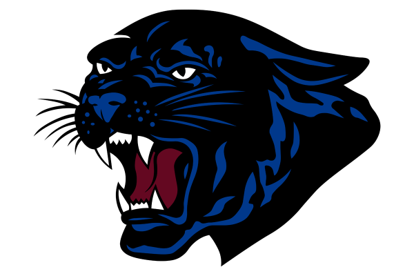 Оскал пантеры ОДОН