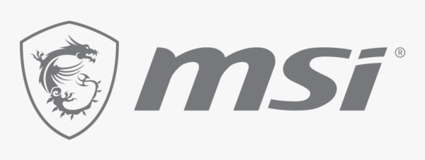 MSI logo