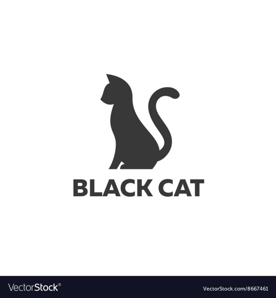 Black Cat надпись
