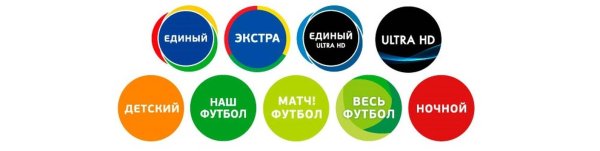 Триколор флаг вектор