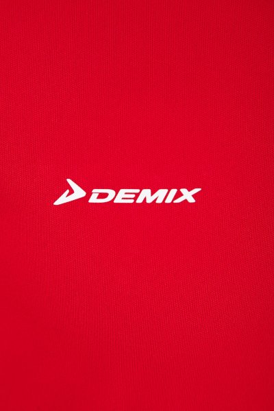 Логотип фирма демикс