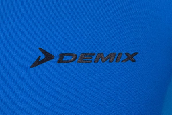 Логотип фирма демикс