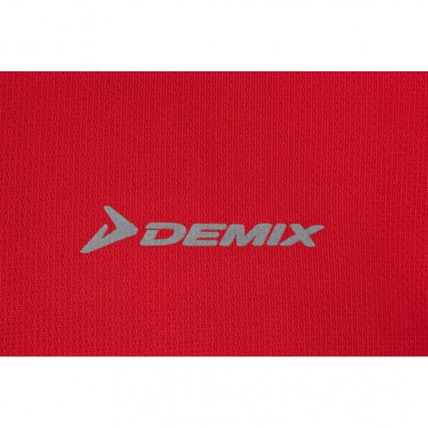 Логотип фирма демикс