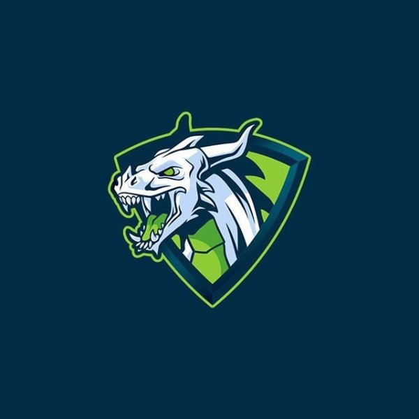 Логотип для Тимы