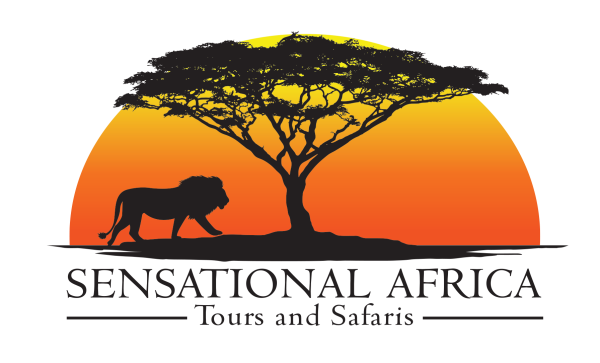 Сафари логотип