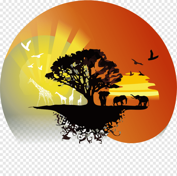 Эмблема сафари