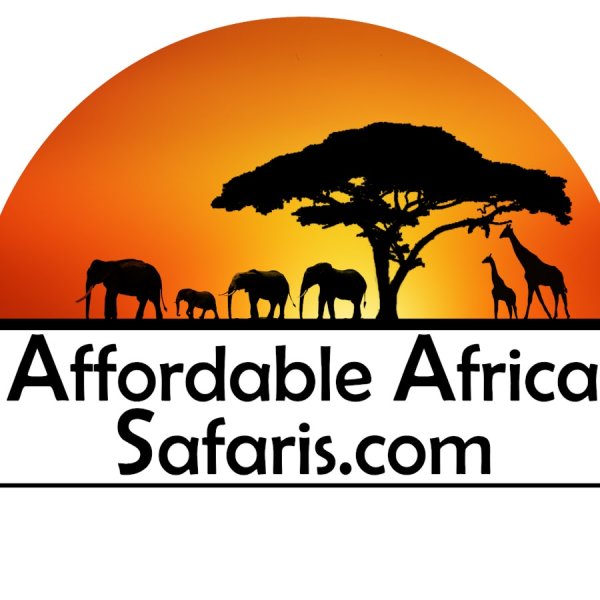 Сафари лого вектор