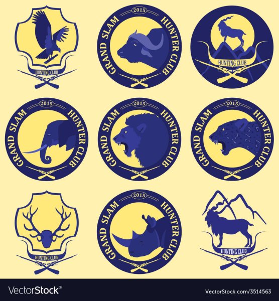 Сафари вектор логотип