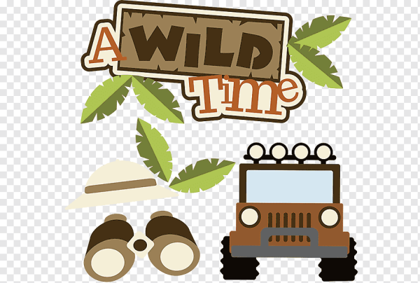 Сафари браузер