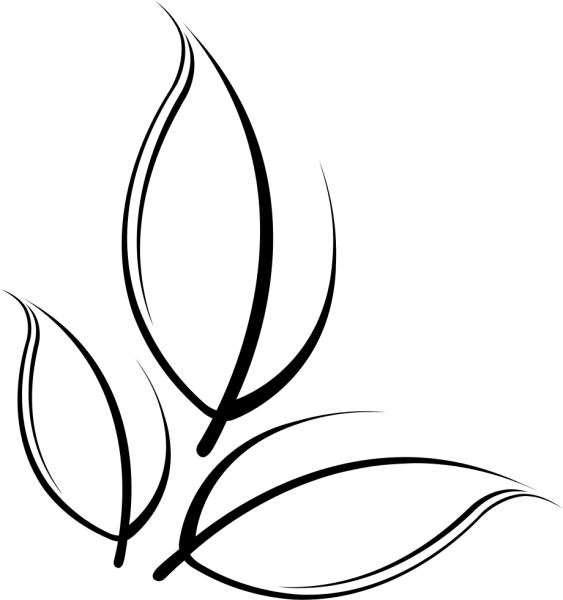 Лотус цветок символ