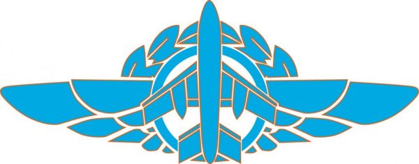 Значок ННГУ