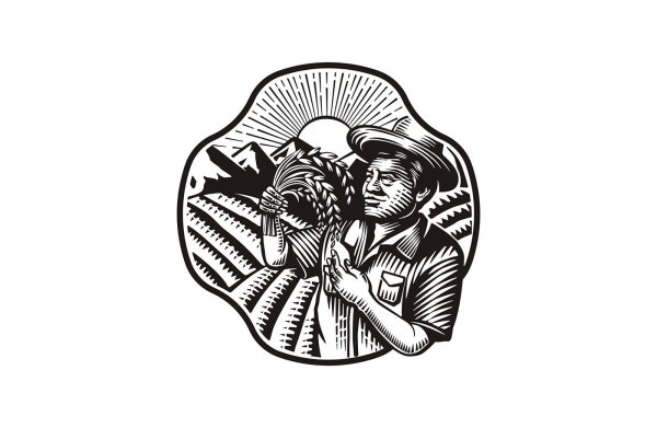 Эскизы брендов