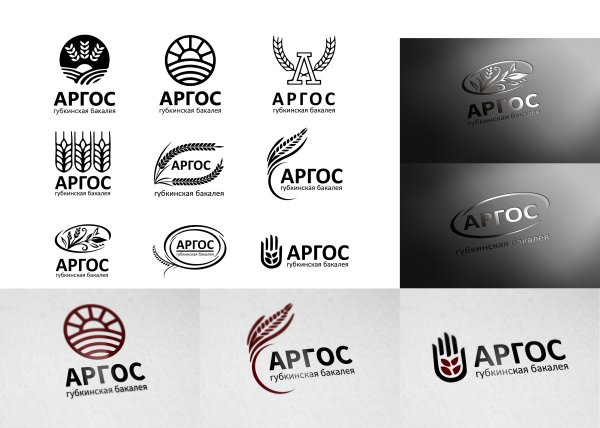 Варианты логотипов