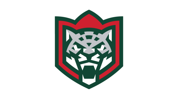 Новый лого АК Барс 2022