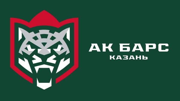АК Барс лого