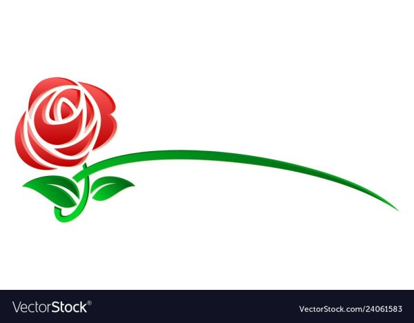 Red Rose логотип