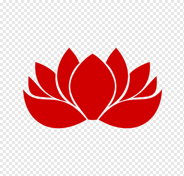 Лотос вектор