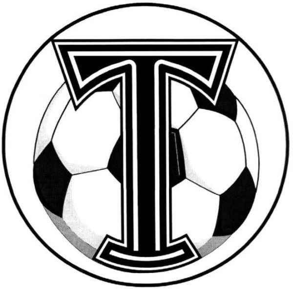 Торпедо (футбольный клуб, Москва)