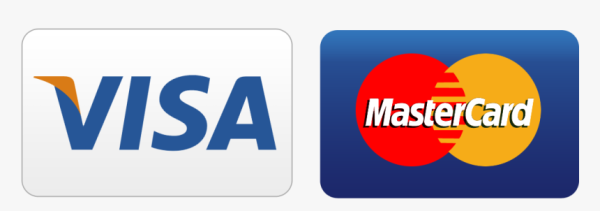Visa MASTERCARD logo