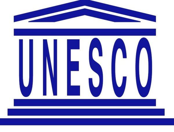 ЮНЕСКО Международная организация