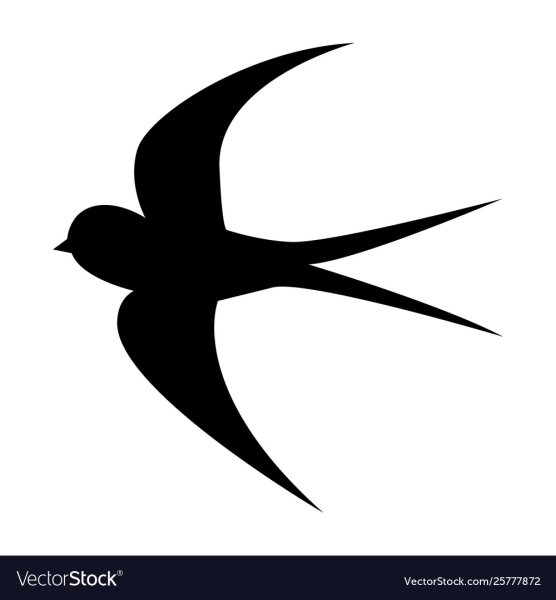 Ласточка на черном фоне