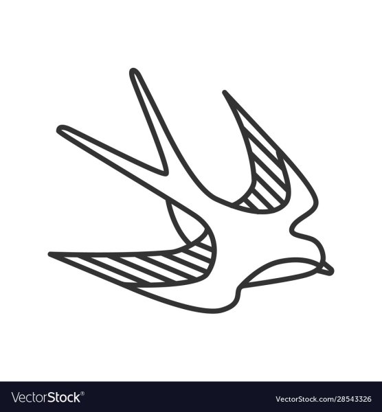 Тату Ласточка контур