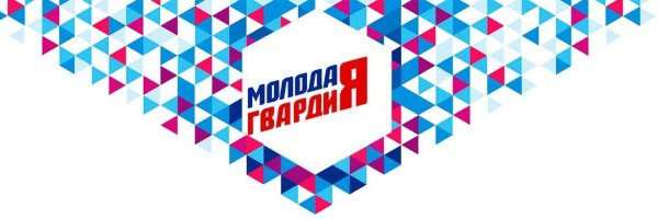 Молодая гвардия Единой России