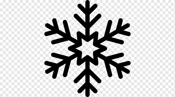 Снежинка вектор чб