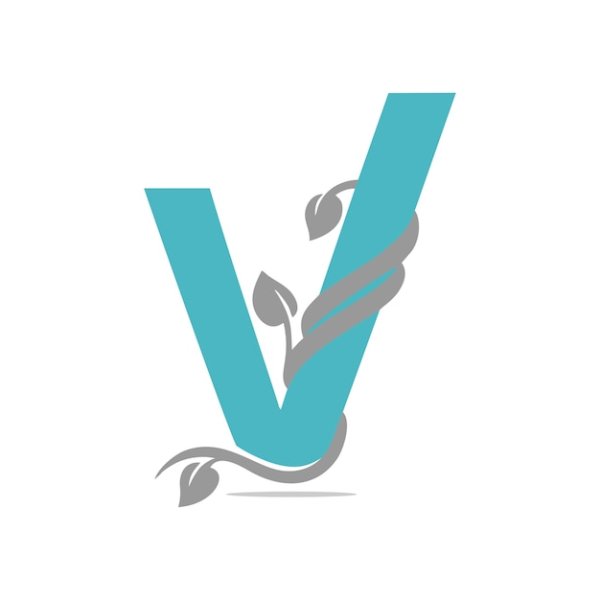 Дизайн буквы v